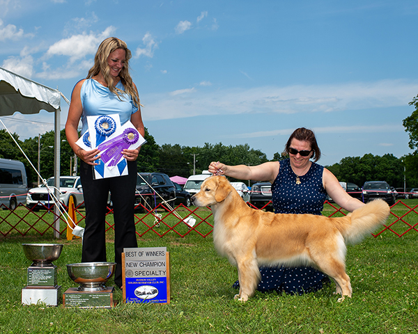 sea glass goldens skye Champion