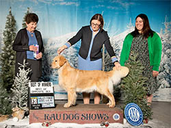 skye-winning 2nd major at a dog show