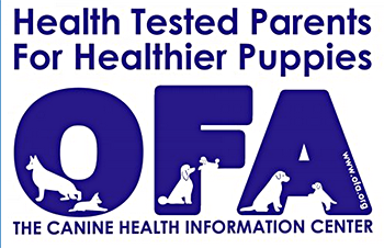 sea glass goldens ofa logo image