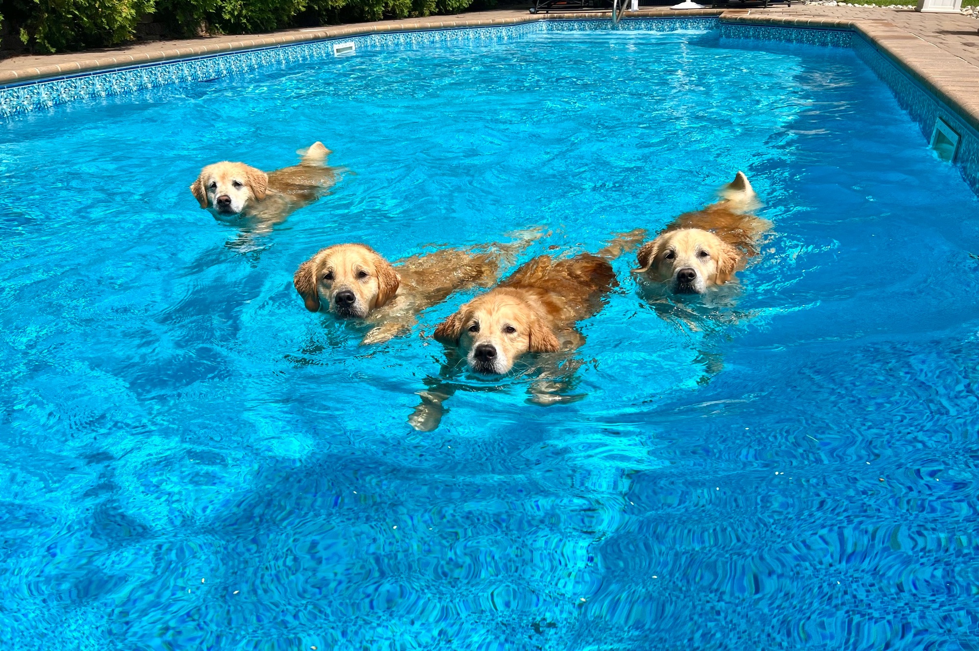 sea glass goldens new jersey slide 1