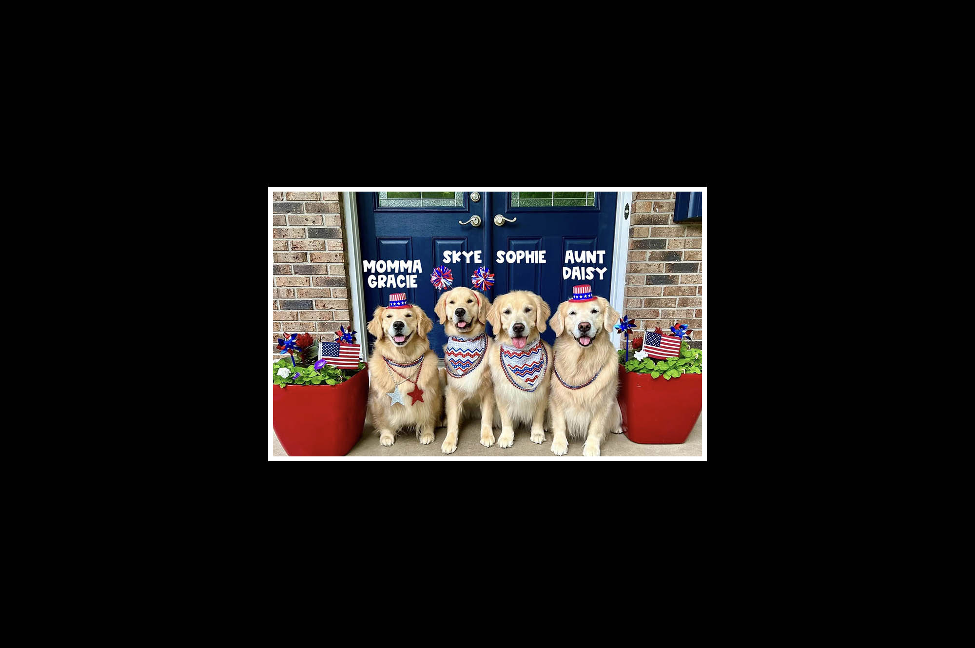 sea glass golden retrievers new jersey slide 24