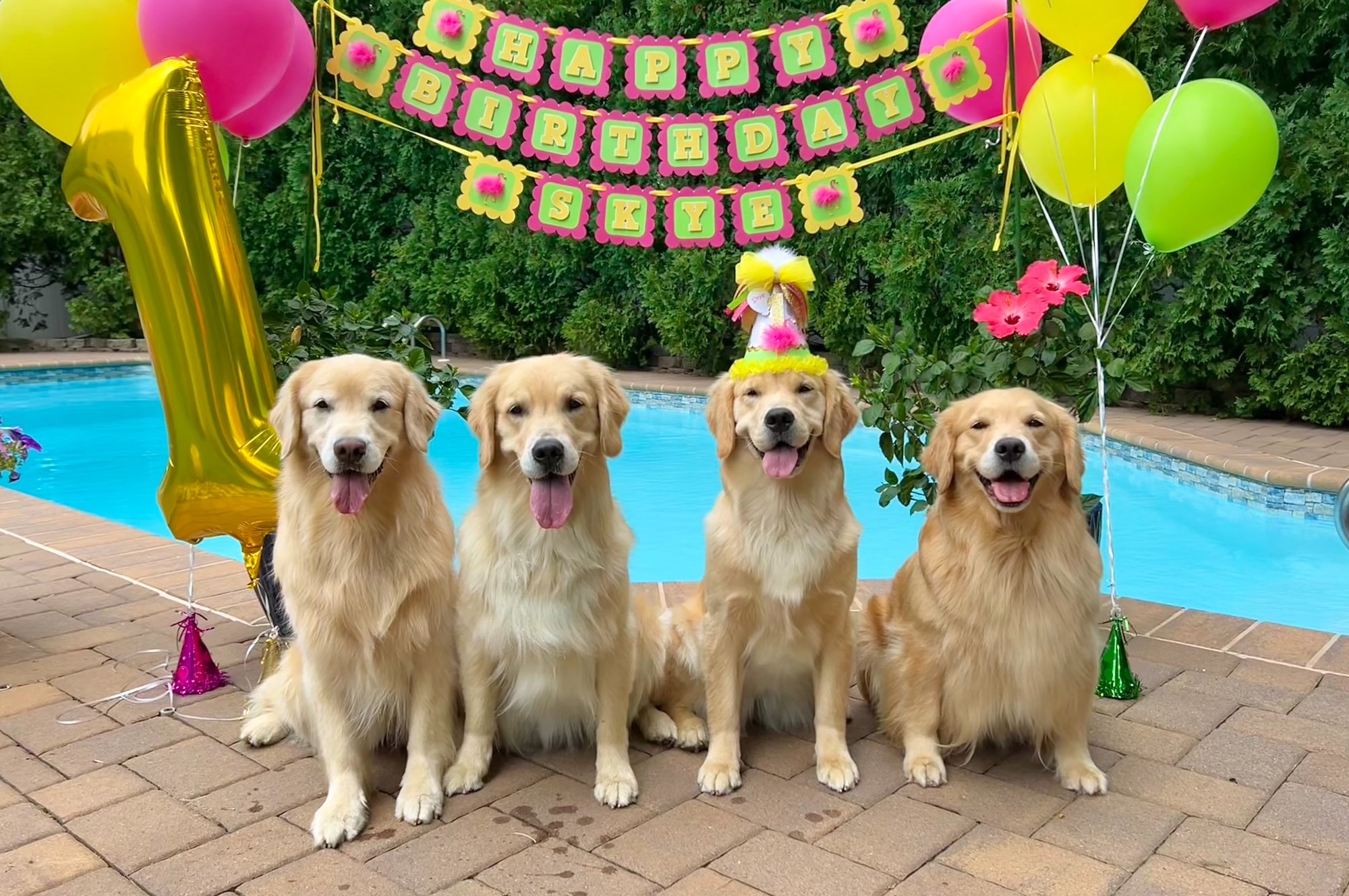 sea glass golden retrievers new jersey slide 5